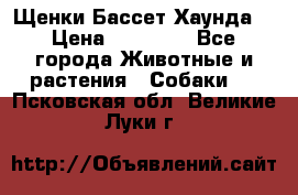 Щенки Бассет Хаунда  › Цена ­ 25 000 - Все города Животные и растения » Собаки   . Псковская обл.,Великие Луки г.